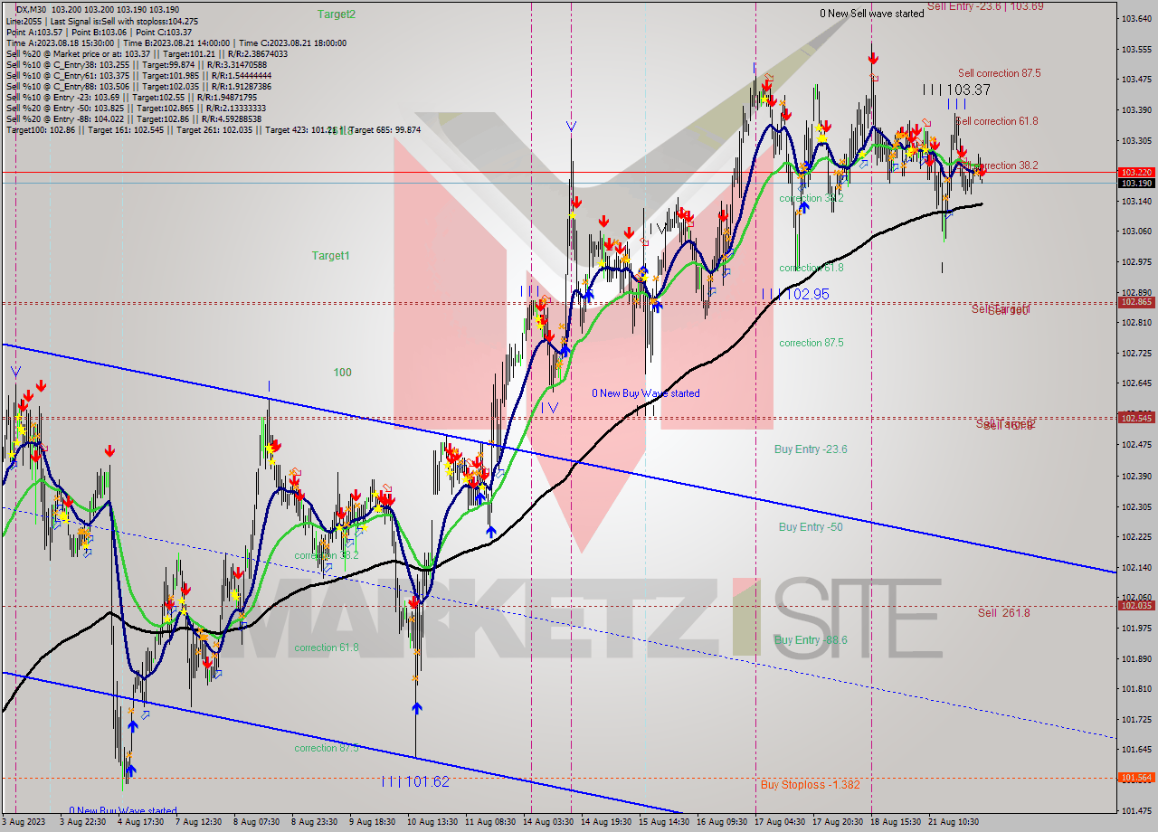DX M30 Analysis DX M30 Signal
